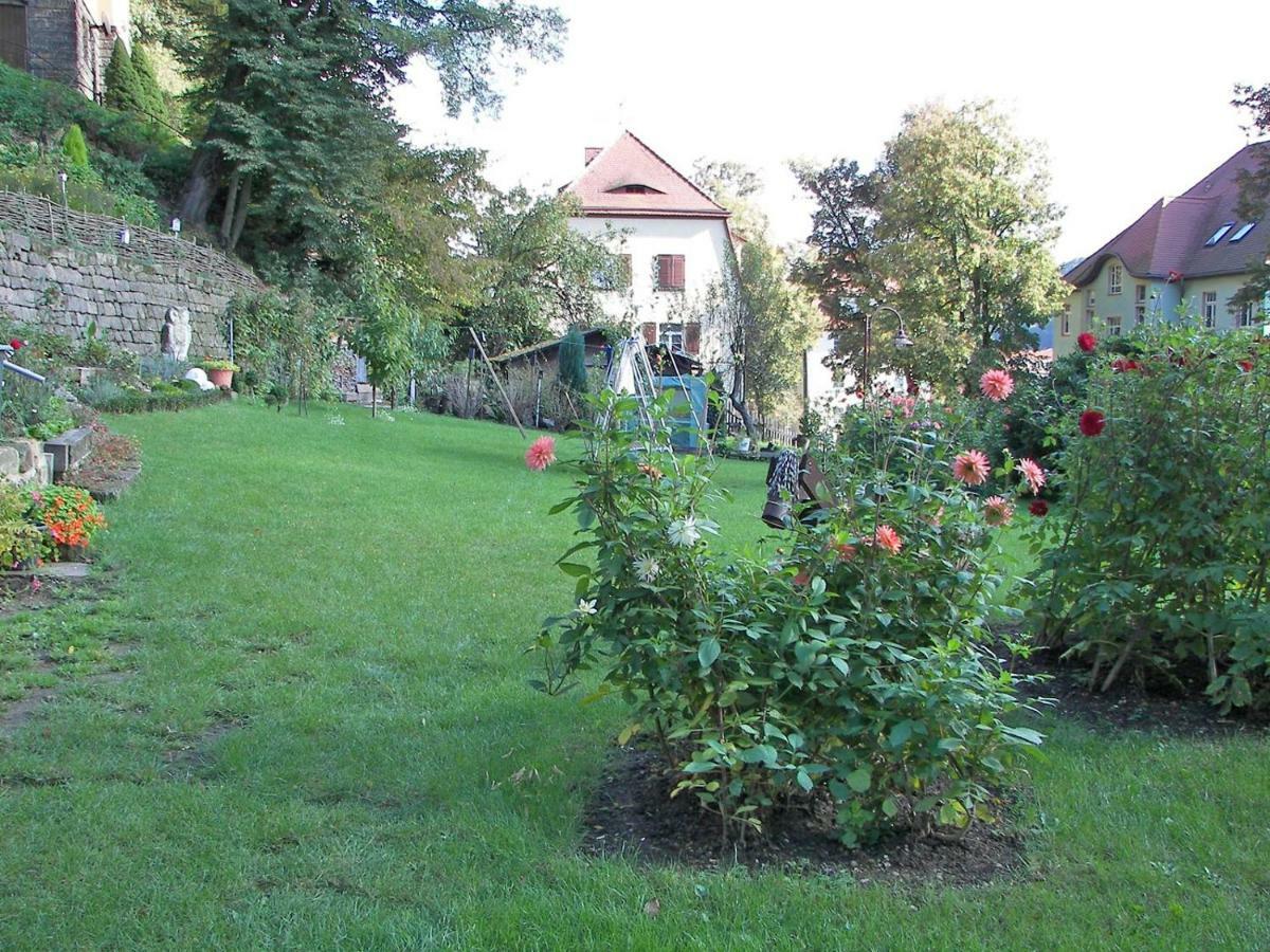 Ferienwohnungen Wilhelm Bad Schandau Eksteriør billede