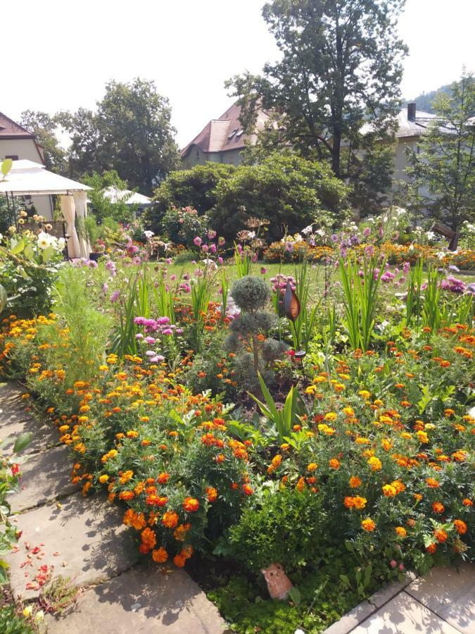 Ferienwohnungen Wilhelm Bad Schandau Eksteriør billede